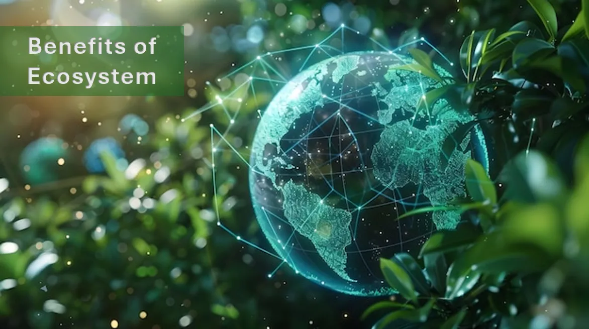 Benefits Of Ecosystem