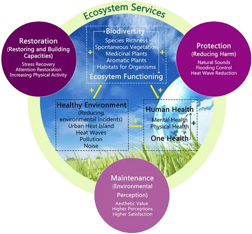 ECO Services