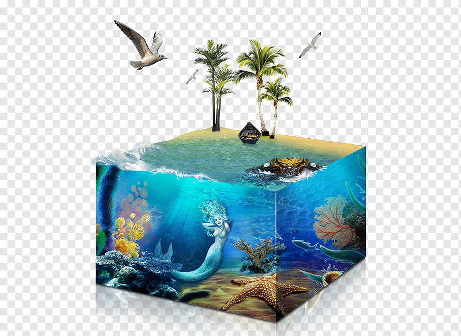 Marine Ecosystem
