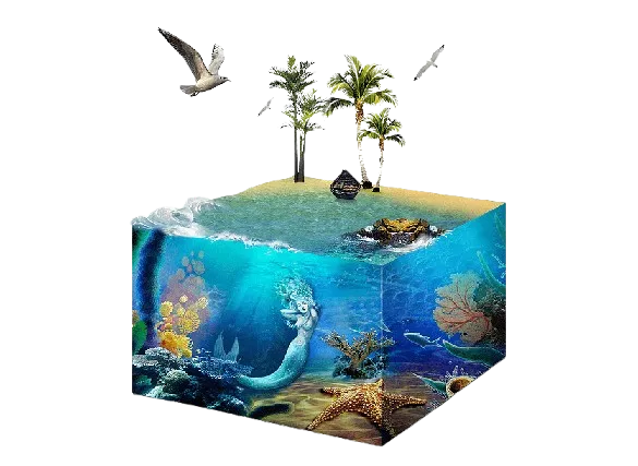 Marine Ecosystem