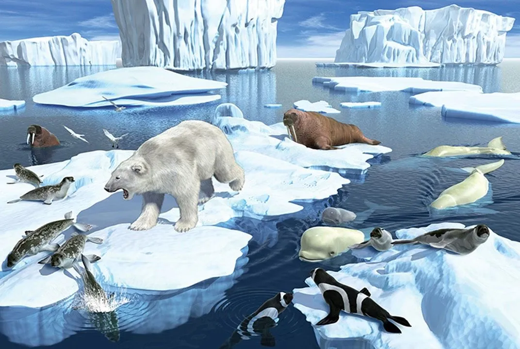 Polar Ecosystem
