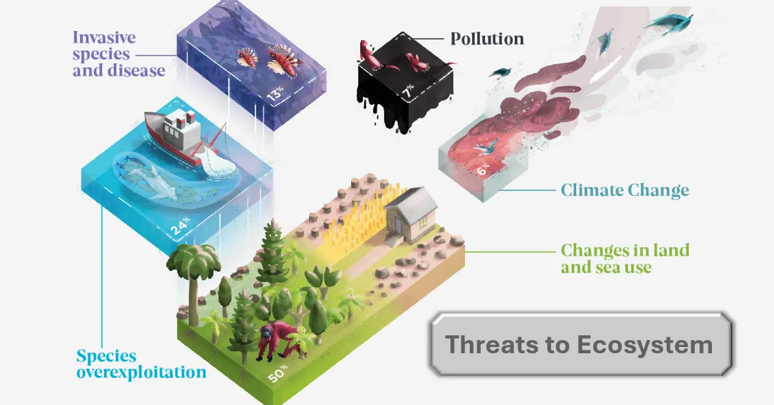 Threats To Ecosystem