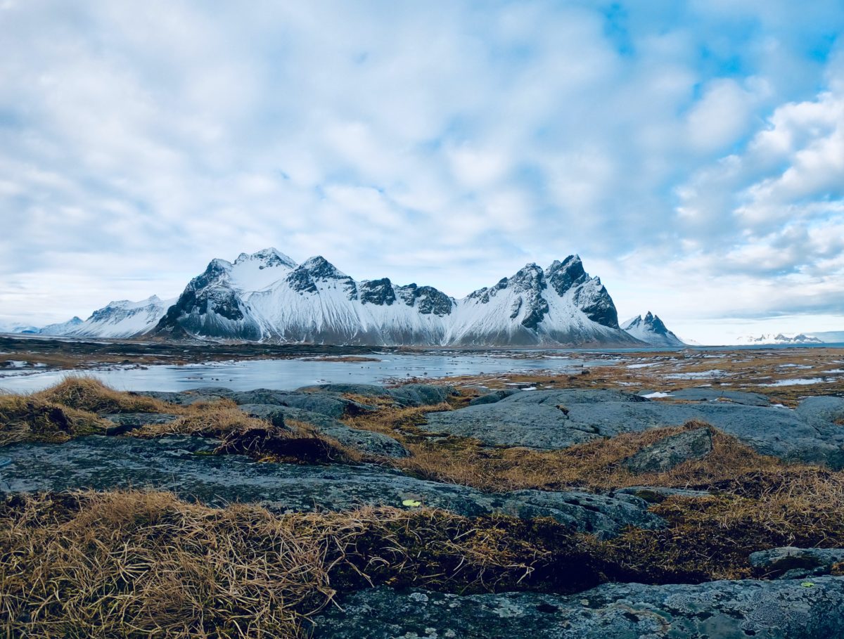 Tundra Ecosystem