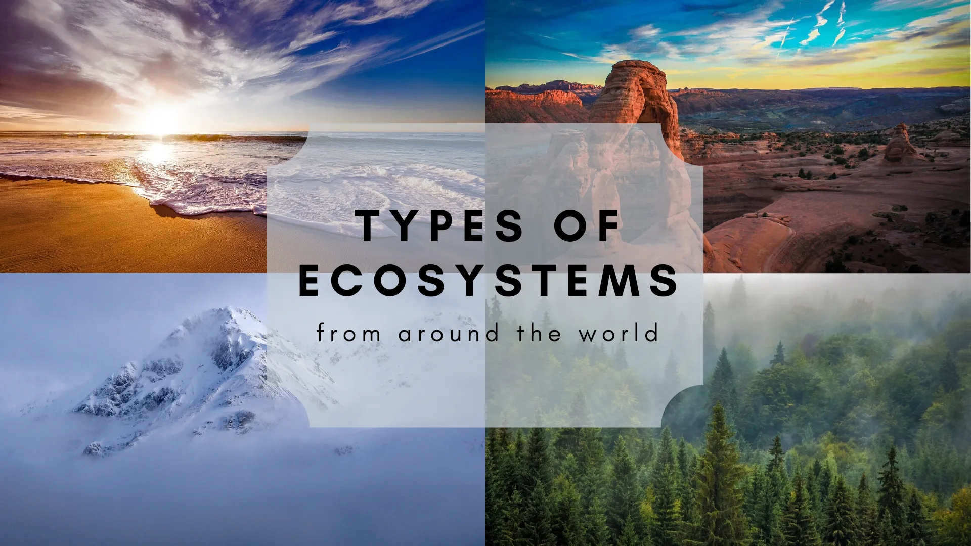 Types Of Ecosystem